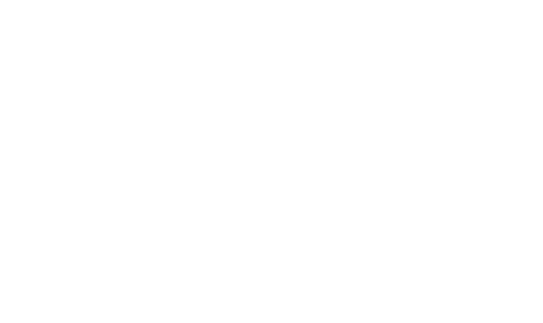 china mobile partner