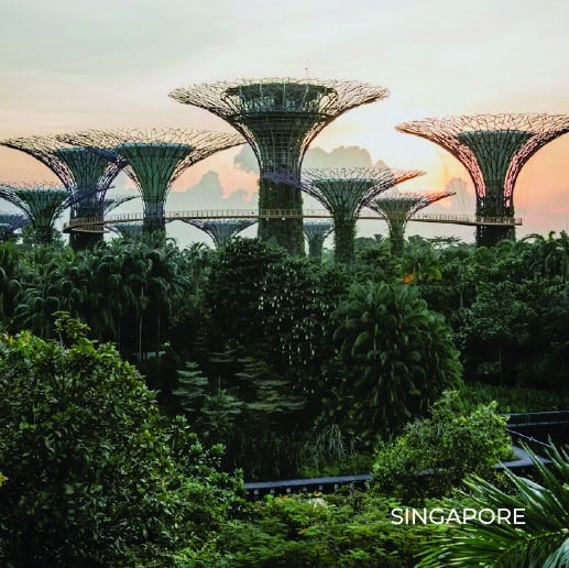 EOR in Singapore